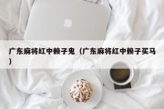 广东麻将红中赖子鬼（广东麻将红中赖子买马）