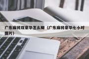 广东麻将双豪华怎么糊（广东麻将豪华七小对图片）