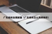 广东麻将自摸解图（广东麻将怎么摸牌顺序）