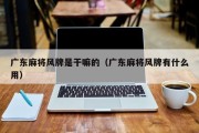 广东麻将风牌是干嘛的（广东麻将风牌有什么用）