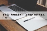 小布在广东麻将怎么打（小布在广东麻将怎么打的）