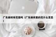 广东麻将有花狐吗（广东麻将里的花什么意思）