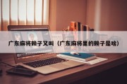 广东麻将赖子又叫（广东麻将里的赖子是啥）