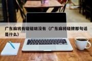 广东麻将有碰碰胡没有（广东麻将碰牌那句话是什么）