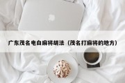 广东茂名电白麻将胡法（茂名打麻将的地方）