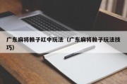 广东麻将赖子红中玩法（广东麻将赖子玩法技巧）